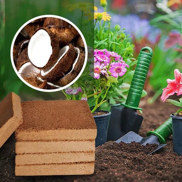 Organic Coconut Coir Potting Mix – Natural Plant Growing Medium for Garden