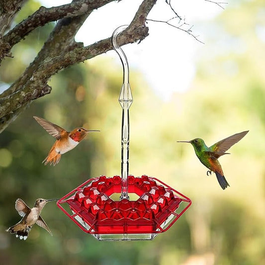 Ant-Proof Hummingbird Feeder with Hanging Perch – Outdoor Bird Feeder