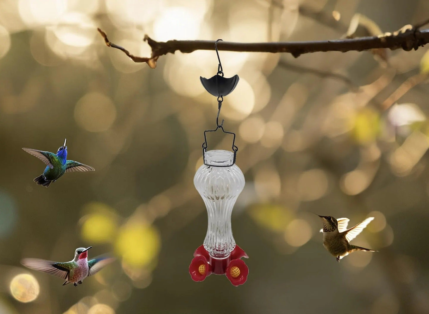 Glass Hummingbird Feeder with Ant Moat – Flower-Shaped Outdoor Bird Feeder