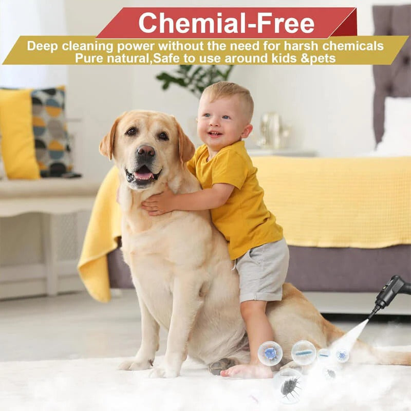2500W High-Pressure Steam Cleaner with Protective Gloves – Multi-Surface