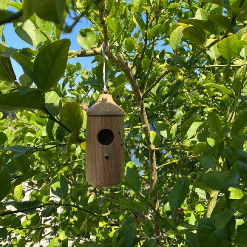Wooden Hummingbird House – Handcrafted Outdoor Garden Bird Nesting Box