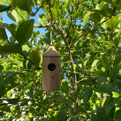Wooden Hummingbird House – Handcrafted Outdoor Garden Bird Nesting Box