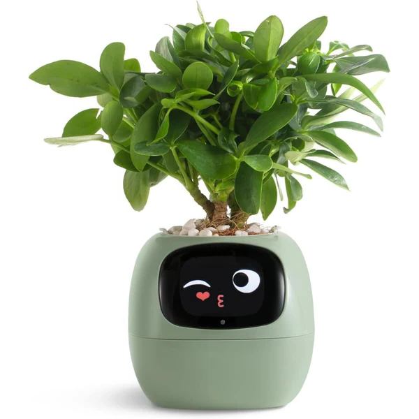 Smart Self-Watering Plant Pot – Innovative Ivy & Indoor Plant Care Planter