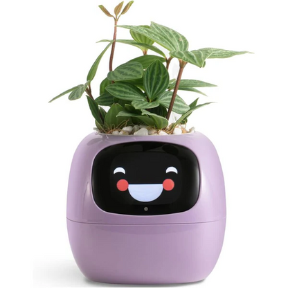 Smart Self-Watering Plant Pot – Innovative Ivy & Indoor Plant Care Planter