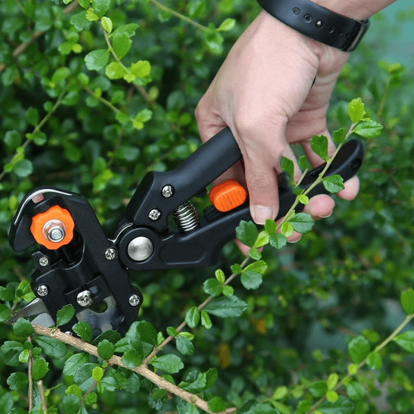 Professional Grafting & Pruning Tool – Garden Tree Branch Cutting Scissors