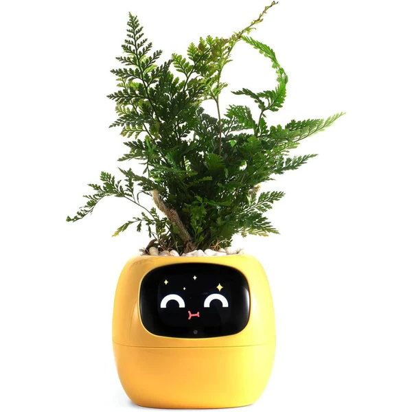Smart Self-Watering Plant Pot – Innovative Ivy & Indoor Plant Care Planter