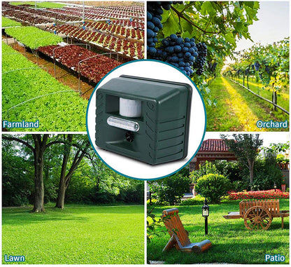 Ultrasonic Woodpecker Repeller – Solar Powered Outdoor Bird Deterrent
