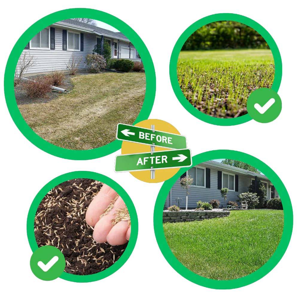 Quick Fix Grass Seed Mat – Instant Green Lawn Repair Patch